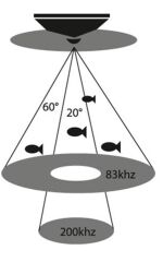 Condor Sonar 345C-DF Renkli Balık Bulucu