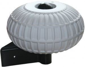 İskele Usturmaçası  KÜRESEL