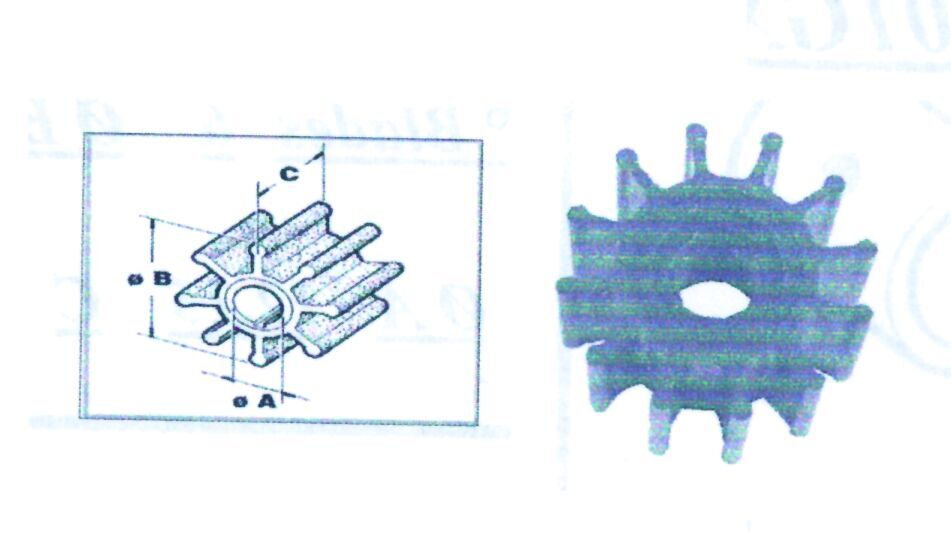Pompa İmpell. CEF için Jabsco, Johnson,Onan,Volvo-Penta,Perkins&Makine Yanmar, Sole Ø14,4 57Χ31,6