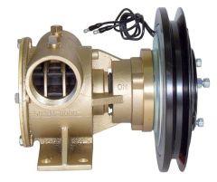 Jabsco Manyetik Kasnaklı genel amaçlı pompa 1 ½” 24 Volt