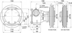 Jabsco Manyetik Kasnaklı genel amaçlı pompa 1 ½” 24 Volt