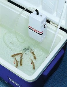 WATERTIGHT AIR PUMPS, DC 3