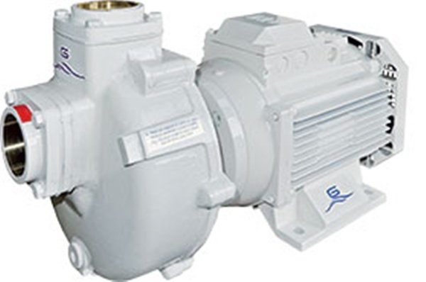 GIANNESCHI Genel amaçlı Pompa 230/400V  BMA-S