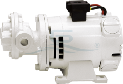 Gianneschi Yağ, Diesel Pompası 380V FQ, 0.37kW