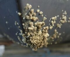 Marisonia Smart Yüksek Güçlü Ultrasonik Kirlenme Önleyici Sistem