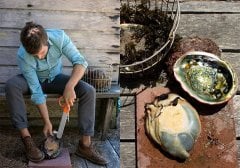 KRAKEN Bıçak ABALONE, Midye Toplama Aleti