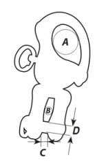 Wichard Fırdöndü, halka-kilit kopilyalı pimli 70 mm