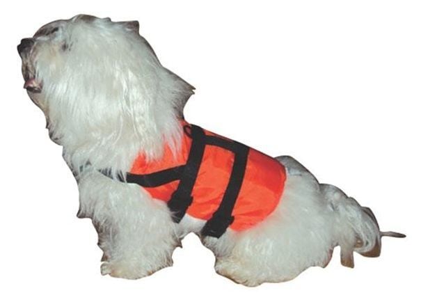 Köpek Can Yeleği